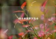 1碗小米粥多少大卡