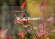 抖音互粉互赞会限流吗