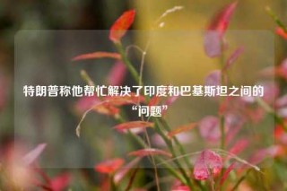 特朗普称他帮忙解决了印度和巴基斯坦之间的“问题”