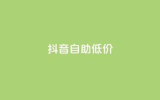 抖音自助低价,24小时抖音业务低价 - 抖音真人粉丝价格 - 24小时砍价助力网