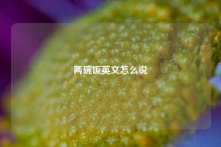 两碗饭英文怎么说