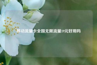 移动流量卡全国无限流量19元好用吗