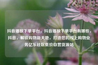 抖音播放下单平台，抖音播放下单平台有哪些，抖音，解锁购物新天地，打造您的线上购物业务亿乐社区低价自营货源站