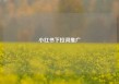 小红书下拉词推广
