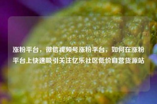 涨粉平台，微信视频号涨粉平台，如何在涨粉平台上快速吸引关注亿乐社区低价自营货源站