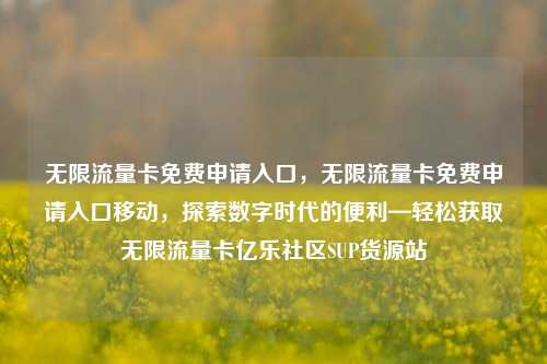 无限流量卡免费申请入口，无限流量卡免费申请入口移动，探索数字时代的便利—轻松获取无限流量卡亿乐社区SUP货源站  第1张