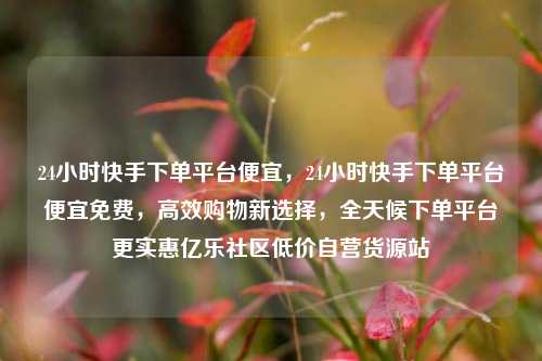 24小时快手下单平台便宜，24小时快手下单平台便宜免费，高效购物新选择，全天候下单平台更实惠亿乐社区低价自营货源站  第1张