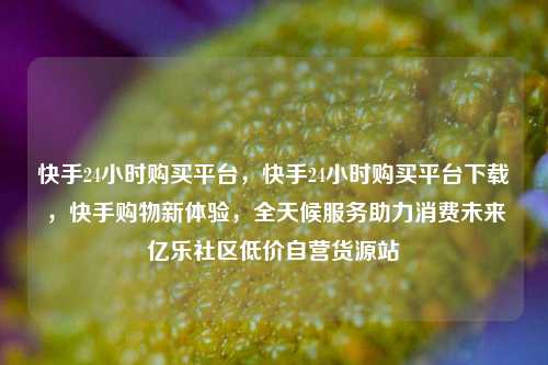 快手24小时购买平台，快手24小时购买平台下载，快手购物新体验，全天候服务助力消费未来亿乐社区低价自营货源站  第1张