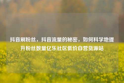 抖音刷粉丝，抖音流量的秘密，如何科学地提升粉丝数量亿乐社区低价自营货源站  第1张