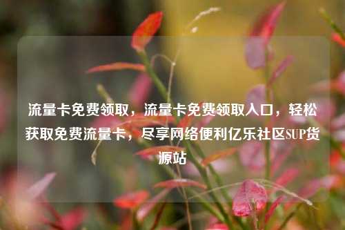 流量卡免费领取，流量卡免费领取入口，轻松获取免费流量卡	，尽享网络便利亿乐社区SUP货源站  第1张