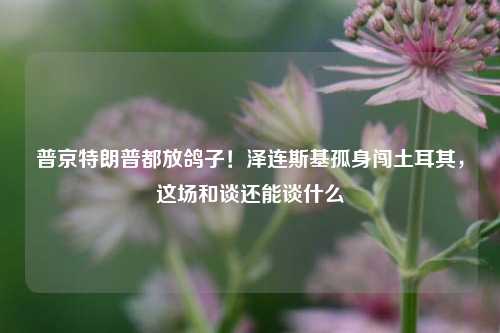 普京特朗普都放鸽子！泽连斯基孤身闯土耳其，这场和谈还能谈什么  第1张