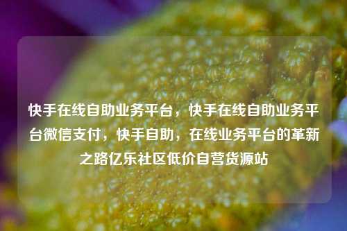 快手在线自助业务平台，快手在线自助业务平台微信支付，快手自助，在线业务平台的革新之路亿乐社区低价自营货源站  第1张
