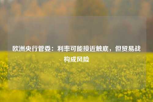 欧洲央行管委：利率可能接近触底，但贸易战构成风险  第1张