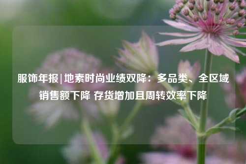 服饰年报|地素时尚业绩双降：多品类	、全区域销售额下降 存货增加且周转效率下降  第1张