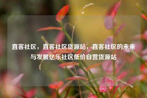 直客社区，直客社区货源站，直客社区的未来与发展亿乐社区低价自营货源站  第1张