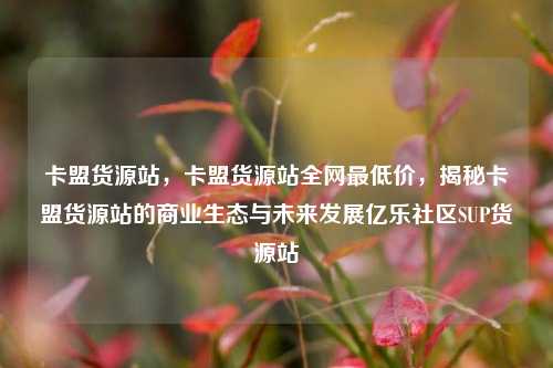 卡盟货源站，卡盟货源站全网最低价，揭秘卡盟货源站的商业生态与未来发展亿乐社区SUP货源站  第1张