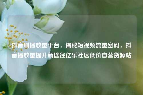 抖音刷播放量平台	，揭秘短视频流量密码，抖音播放量提升新途径亿乐社区低价自营货源站  第1张