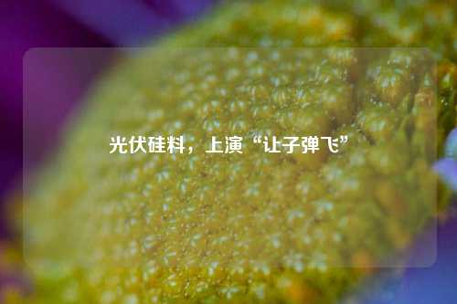 光伏硅料，上演“让子弹飞”  第1张