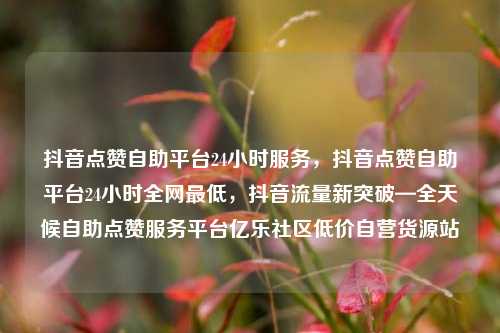 抖音点赞自助平台24小时服务，抖音点赞自助平台24小时全网最低，抖音流量新突破—全天候自助点赞服务平台亿乐社区低价自营货源站  第1张