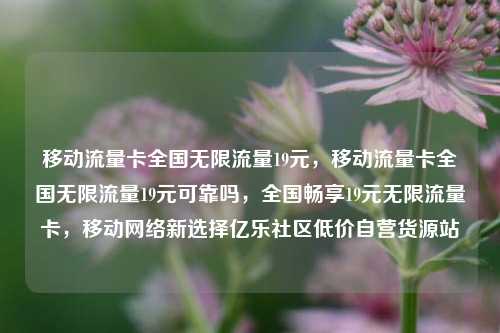 移动流量卡全国无限流量19元，移动流量卡全国无限流量19元可靠吗，全国畅享19元无限流量卡，移动网络新选择亿乐社区低价自营货源站  第1张