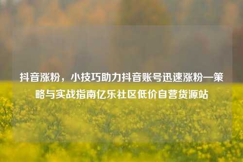 抖音涨粉，小技巧助力抖音账号迅速涨粉—策略与实战指南亿乐社区低价自营货源站  第1张