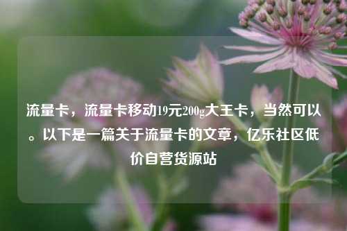 流量卡，流量卡移动19元200g大王卡	，当然可以。以下是一篇关于流量卡的文章，亿乐社区低价自营货源站  第1张