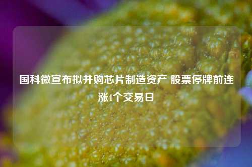 国科微宣布拟并购芯片制造资产 股票停牌前连涨4个交易日  第1张