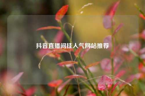 抖音直播间挂人气网站推荐  第1张