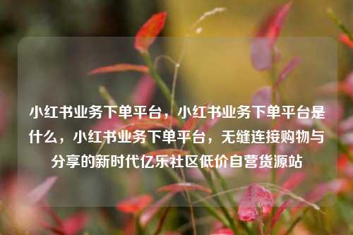 小红书业务下单平台，小红书业务下单平台是什么	，小红书业务下单平台，无缝连接购物与分享的新时代亿乐社区低价自营货源站  第1张