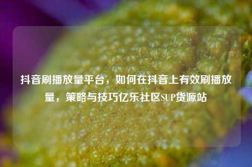 抖音刷播放量平台，如何在抖音上有效刷播放量，策略与技巧亿乐社区SUP货源站  第1张