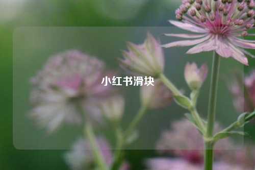小红书滑块  第1张