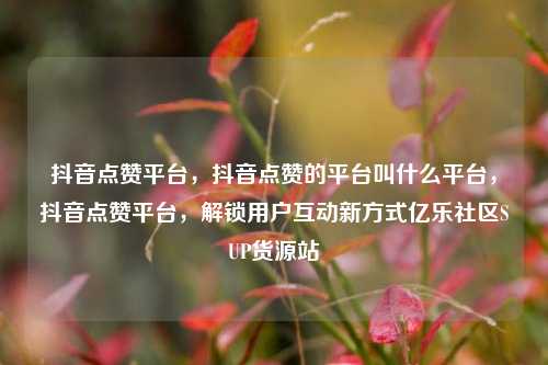 抖音点赞平台，抖音点赞的平台叫什么平台，抖音点赞平台	，解锁用户互动新方式亿乐社区SUP货源站  第1张