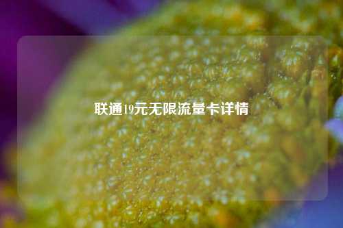 联通19元无限流量卡详情  第1张