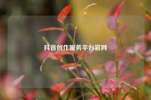 抖音创作服务平台官网  第1张