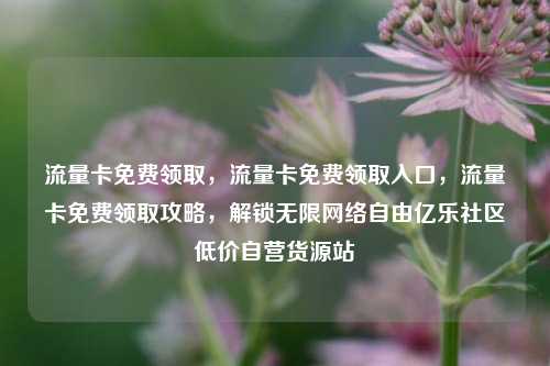 流量卡免费领取	，流量卡免费领取入口，流量卡免费领取攻略，解锁无限网络自由亿乐社区低价自营货源站  第1张