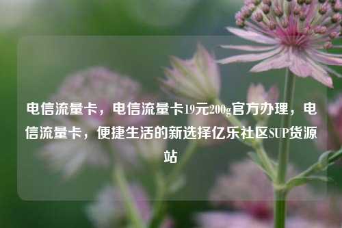 电信流量卡	，电信流量卡19元200g官方办理，电信流量卡，便捷生活的新选择亿乐社区SUP货源站  第1张