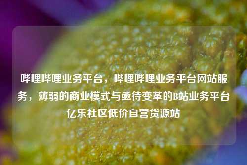 哔哩哔哩业务平台，哔哩哔哩业务平台网站服务	，薄弱的商业模式与亟待变革的B站业务平台亿乐社区低价自营货源站  第1张