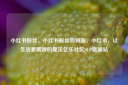小红书粉丝	，小红书粉丝如何涨，小红书，让生活更精致的魔法亿乐社区SUP货源站  第1张