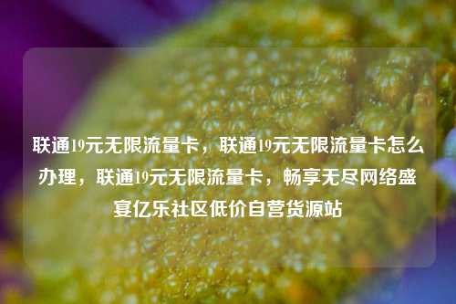 联通19元无限流量卡，联通19元无限流量卡怎么办理	，联通19元无限流量卡，畅享无尽网络盛宴亿乐社区低价自营货源站  第1张
