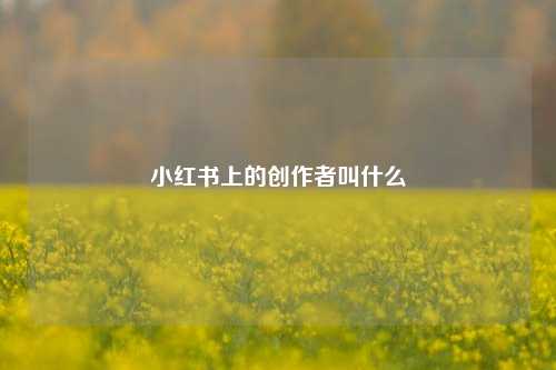 小红书上的创作者叫什么 第1张 小红书上的创作者叫什么 第1张