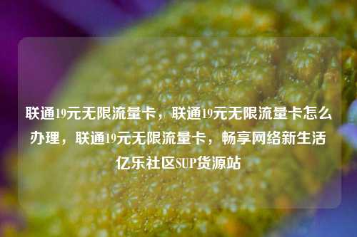联通19元无限流量卡	，联通19元无限流量卡怎么办理，联通19元无限流量卡，畅享网络新生活亿乐社区SUP货源站  第1张