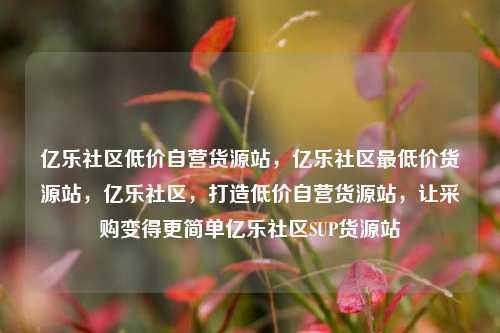 亿乐社区低价自营货源站，亿乐社区最低价货源站	，亿乐社区，打造低价自营货源站，让采购变得更简单亿乐社区SUP货源站  第1张
