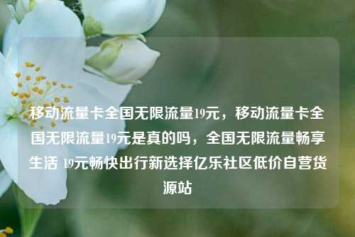 移动流量卡全国无限流量19元，移动流量卡全国无限流量19元是真的吗，全国无限流量畅享生活 19元畅快出行新选择亿乐社区低价自营货源站  第1张