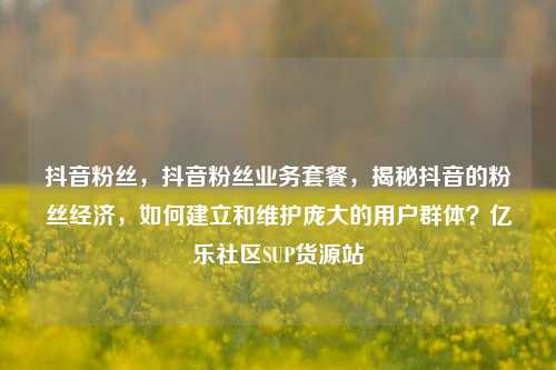 抖音粉丝，抖音粉丝业务套餐，揭秘抖音的粉丝经济	，如何建立和维护庞大的用户群体？亿乐社区SUP货源站  第1张