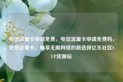 电信流量卡申请免费，电信流量卡申请免费吗，免费流量卡，畅享无限网络的新选择亿乐社区SUP货源站  第1张