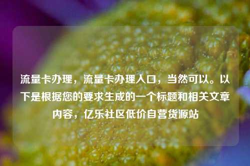流量卡办理，流量卡办理入口，当然可以。以下是根据您的要求生成的一个标题和相关文章内容，亿乐社区低价自营货源站  第1张