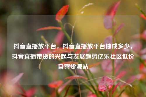 抖音直播放平台	，抖音直播放平台抽成多少，抖音直播带货的兴起与发展趋势亿乐社区低价自营货源站  第1张