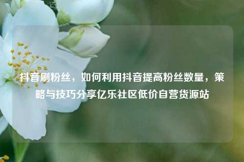 抖音刷粉丝，如何利用抖音提高粉丝数量	，策略与技巧分享亿乐社区低价自营货源站  第1张