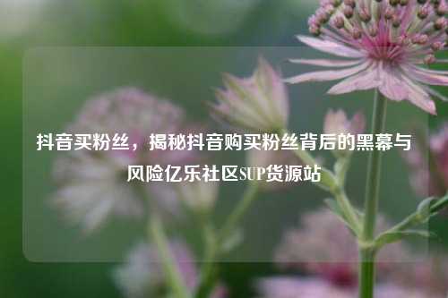抖音买粉丝	，揭秘抖音购买粉丝背后的黑幕与风险亿乐社区SUP货源站  第1张