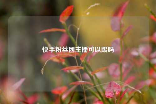 快手粉丝团主播可以踢吗  第1张